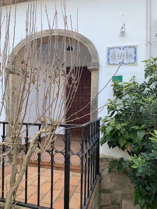 Casa Lavanda, Grill-strand-workation Holiday home *