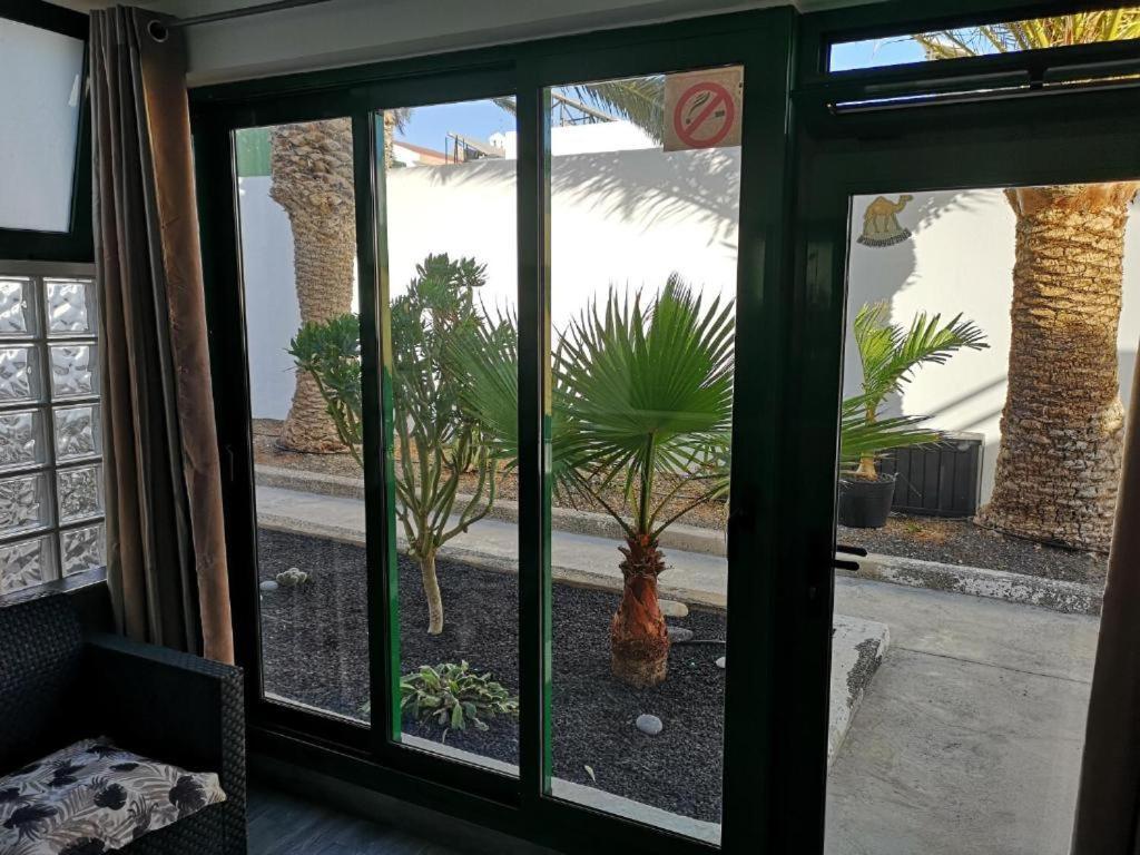 Canary Getaway Apartamento *