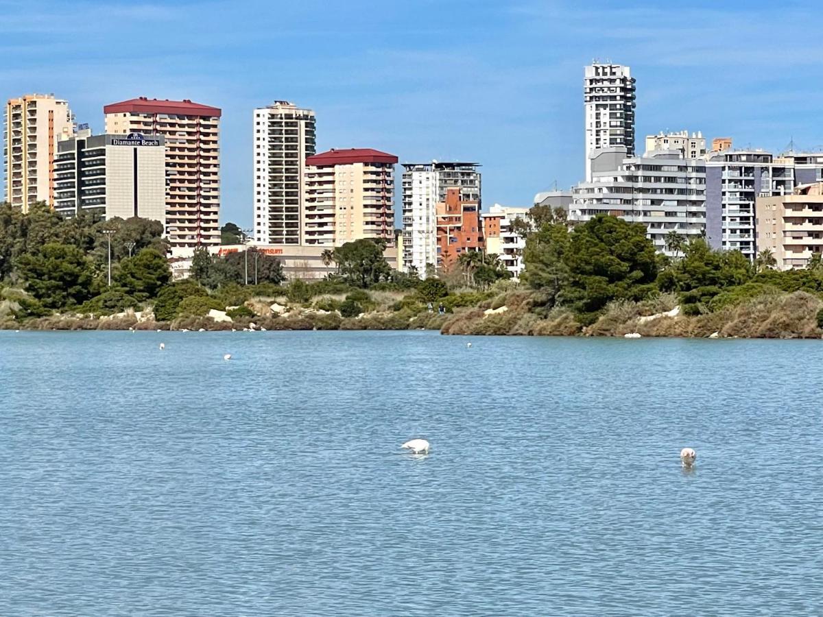 Apartment 2 Bedrooms In Larimar *