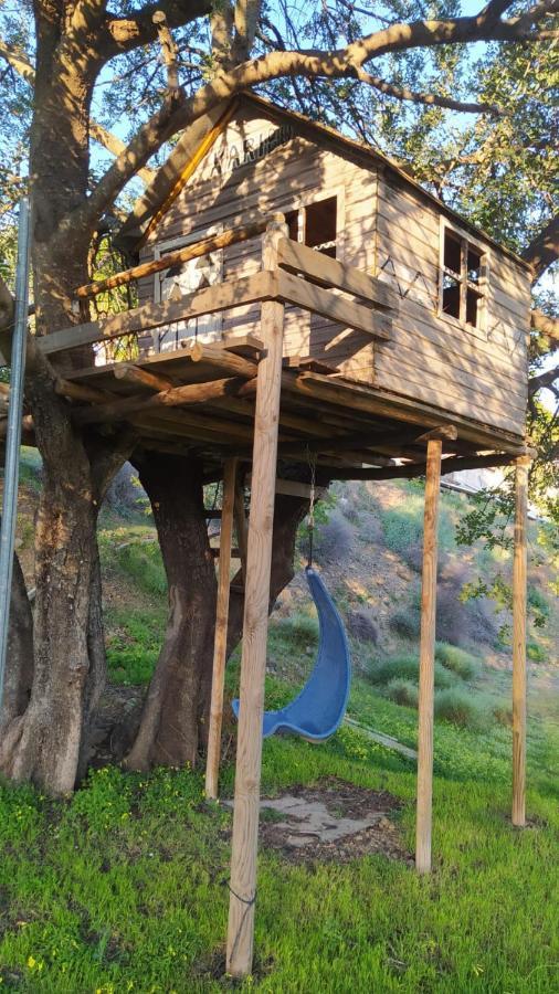 The African House *