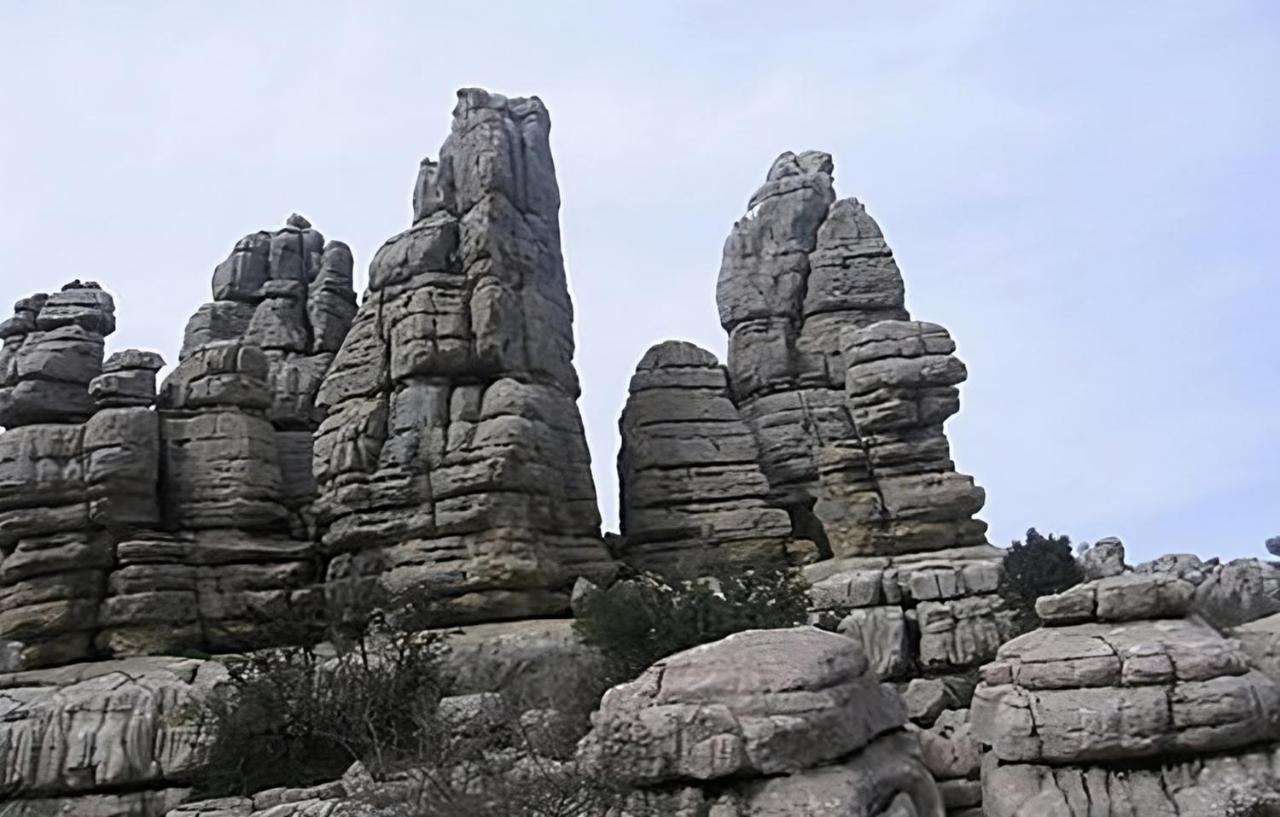 Colon Antequera