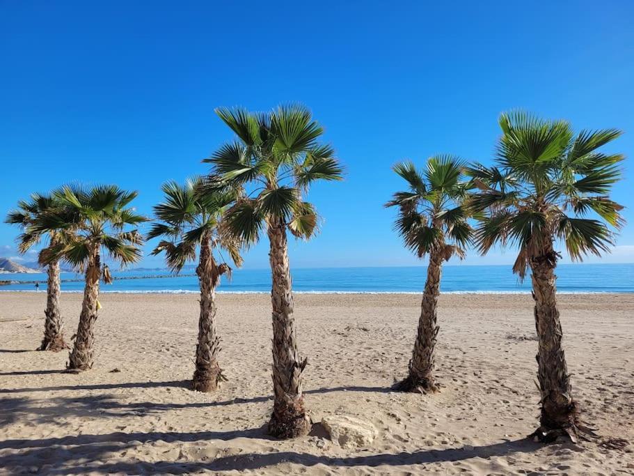 Plage Apartamento *