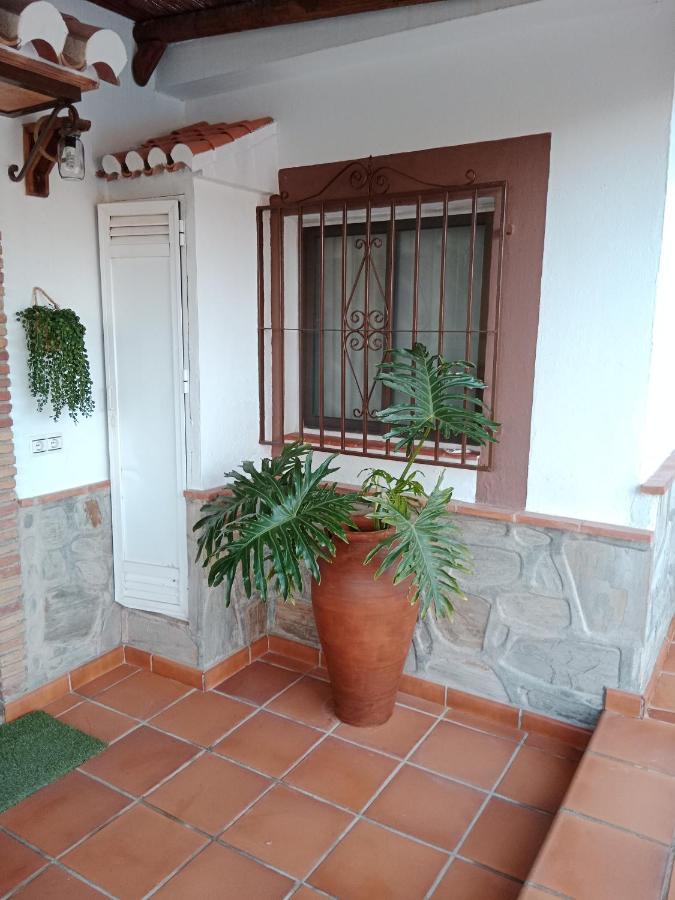 Camarón Villa