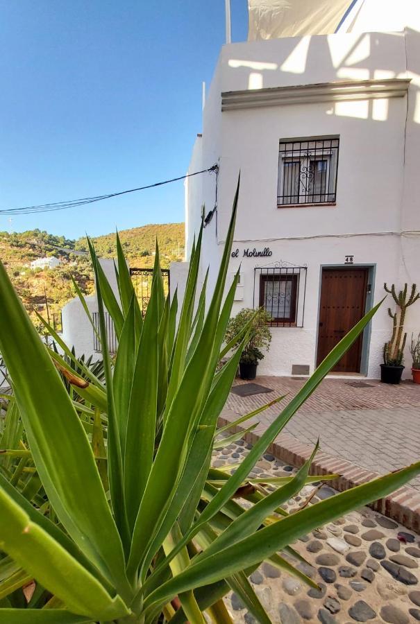 El Molinillo Ojén