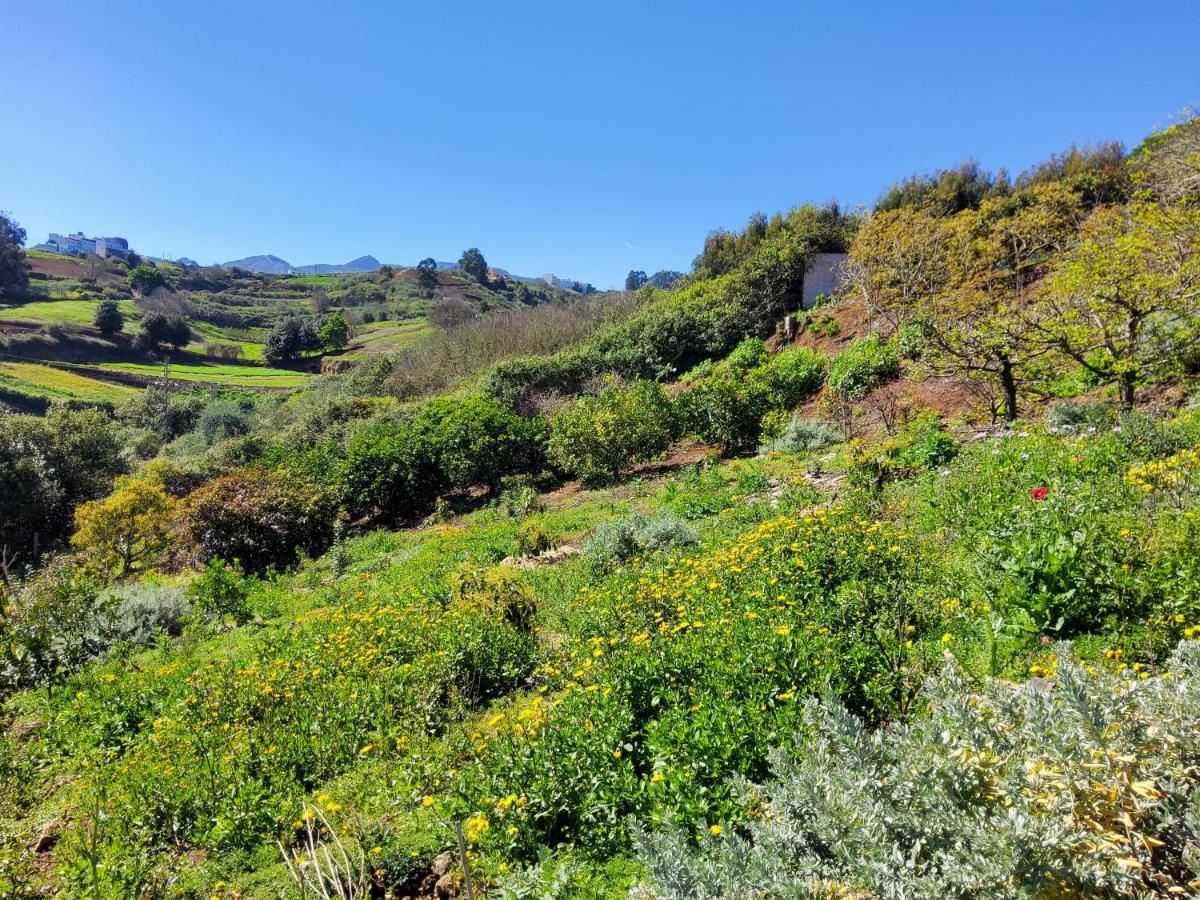 Villa Ecofinca Selva Doramas Santa María de Guía de Gran Canaria