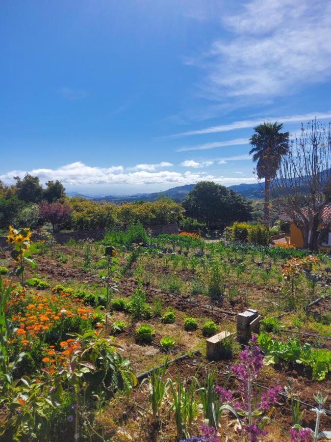 Ecofinca Selva Doramas *
