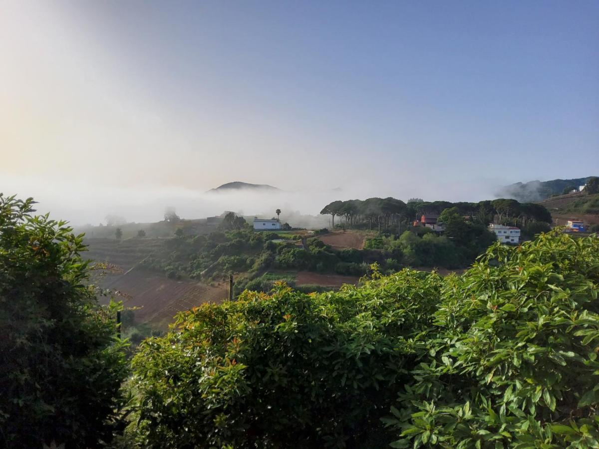 Villa Ecofinca Selva Doramas