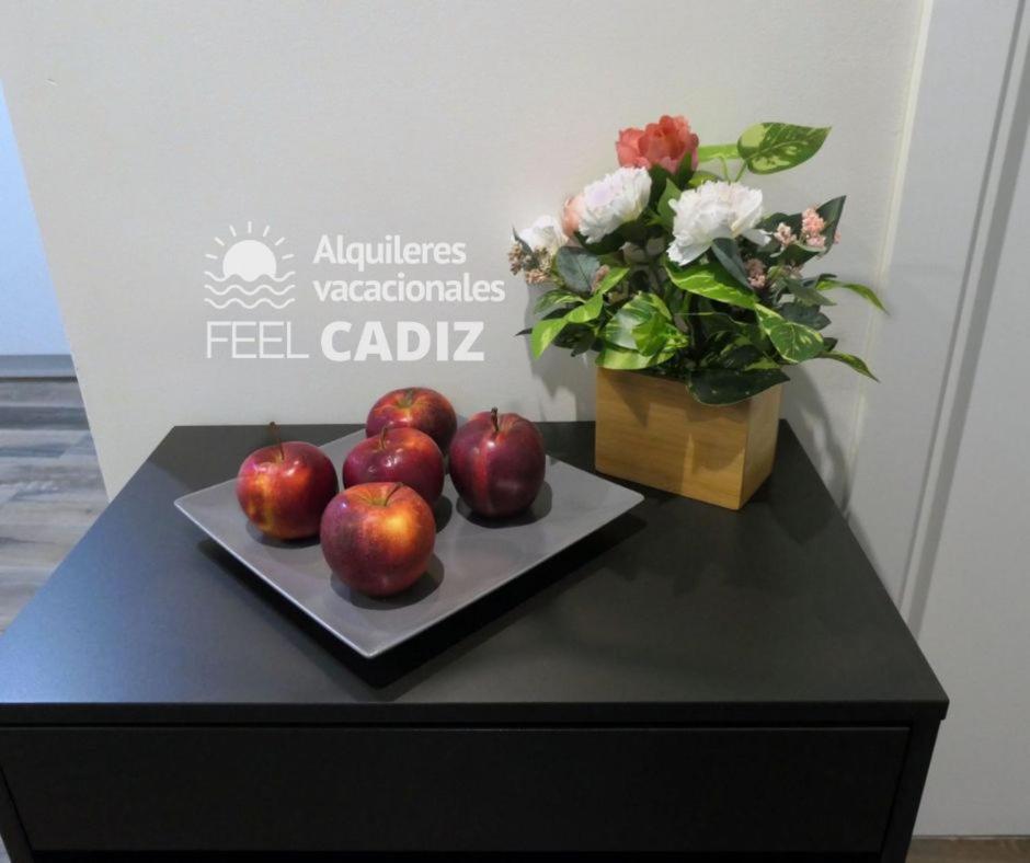 Apartment Damia, Feel