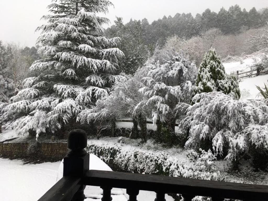 Precioso Caserio Con Jardin *