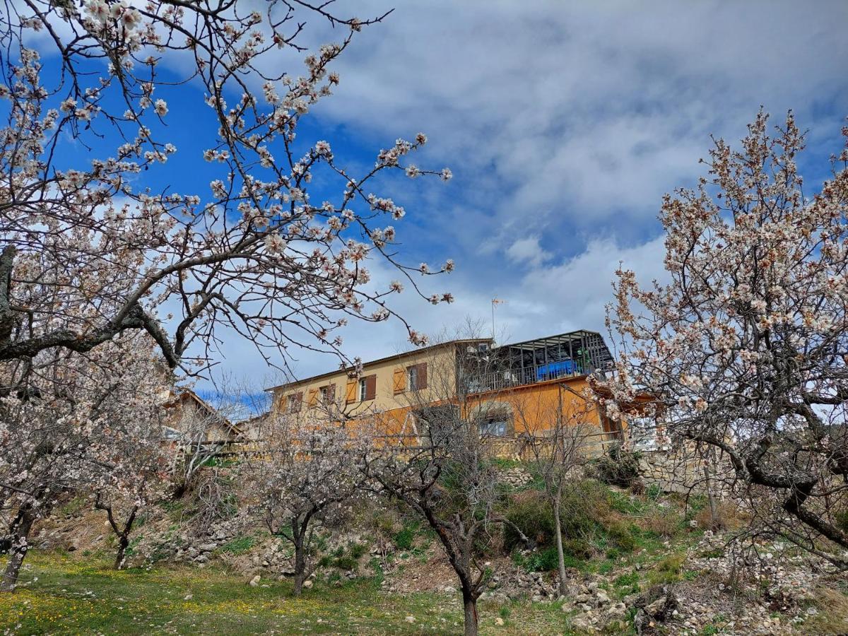 Holiday home Cal Foraster - *