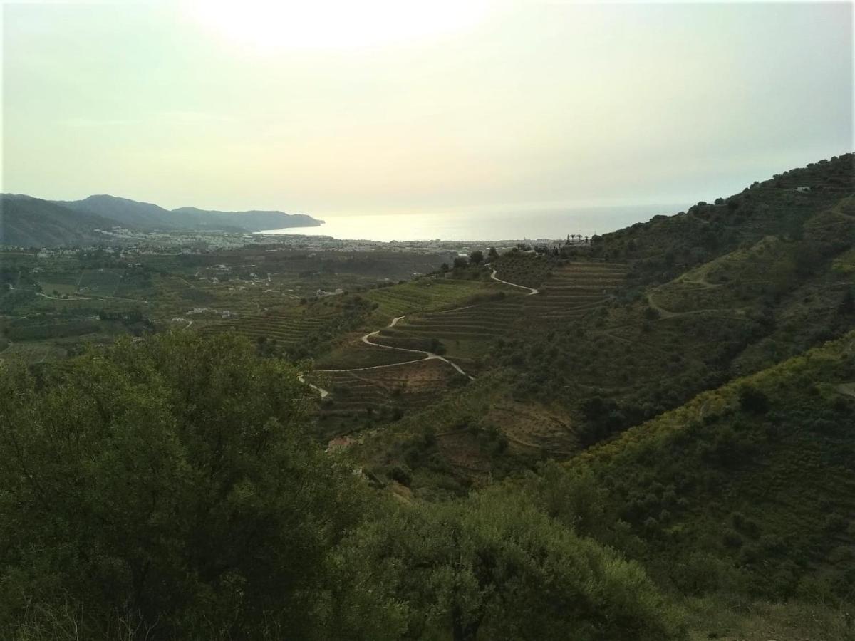 Privada Familias Villa Torrox