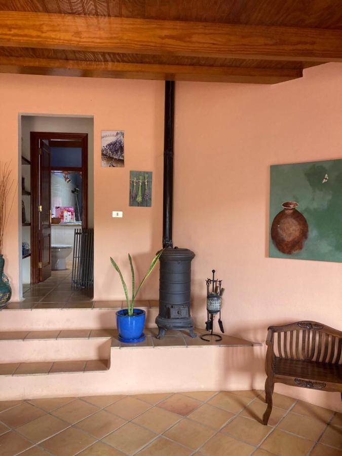 Centro Ave Fenix Holiday home *