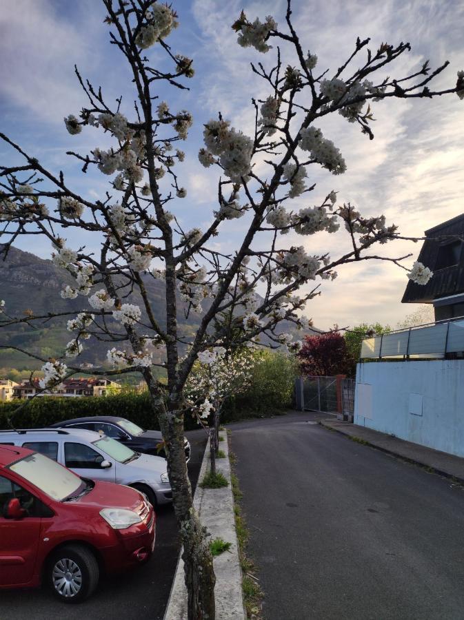 Abaraxka Disfruta La Via Del Urola Hasta La Playa - Naturaleza Montanas Y Riqueza Cultural Hostal *