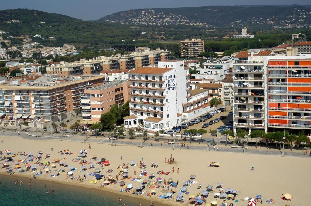 Rosa Dels Vents 3*