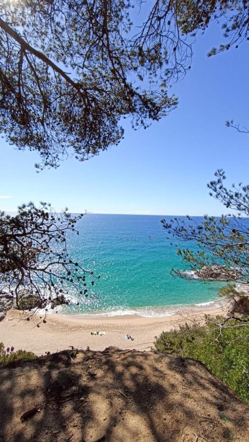 Apartamento Daro