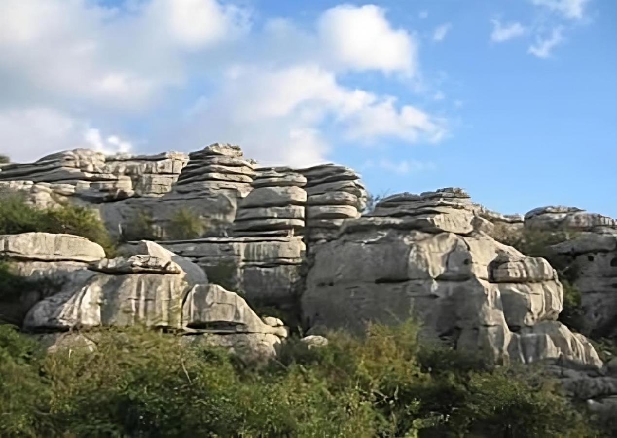 Colon Antequera