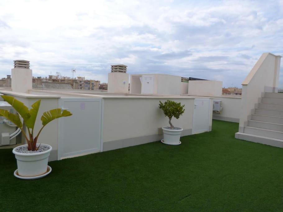 Apartment Modern In Torrevjea 200m From The Loccos *