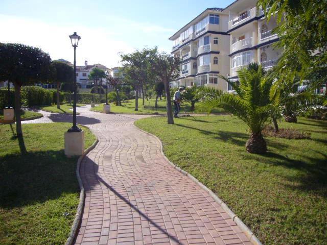 Con Vistas La Mata (Torrevieja)