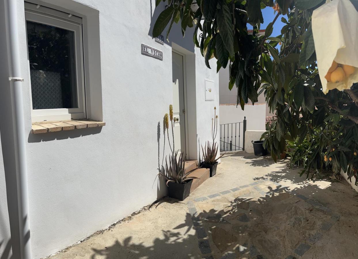 Apartamento “el Vicho” En La Axarquía Almáchar