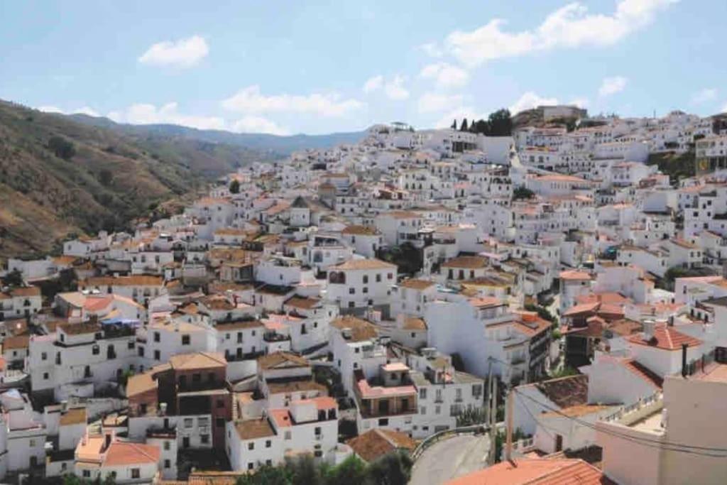 Apartamento Apartamento “el Vicho” En La Axarquía Almáchar