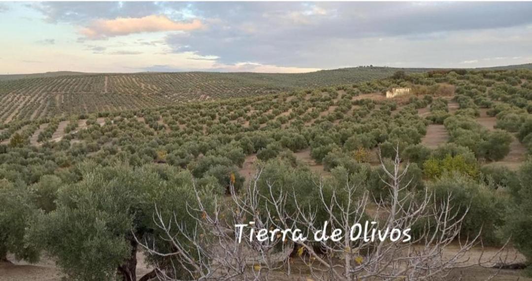 Apartamento Vival Pineda