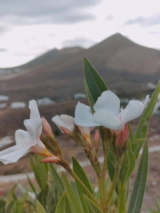 La Morreta Ii - Lanzarote Tias