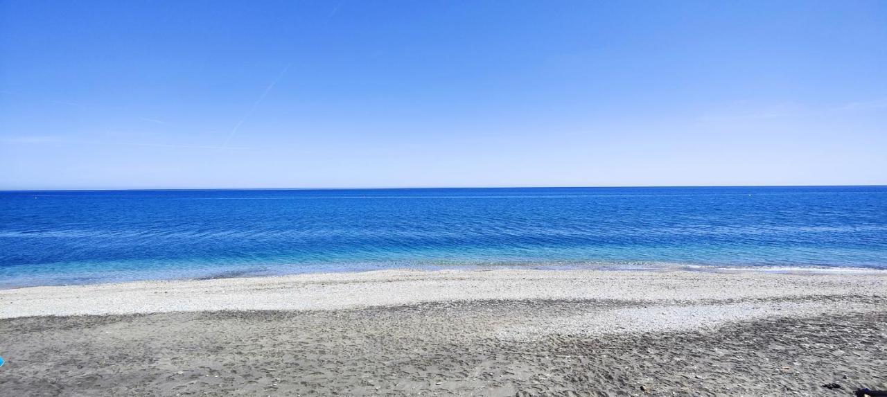 Ap346 - Club * Torrox