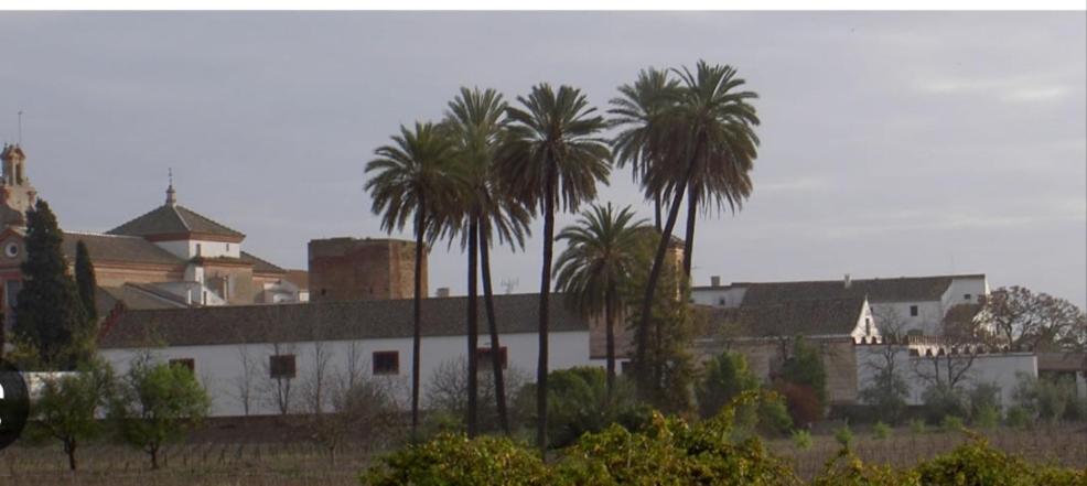 Turistico Damajuana Parking Free