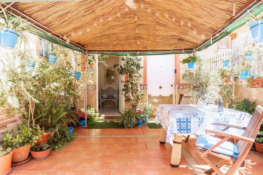 Cool Garden And *