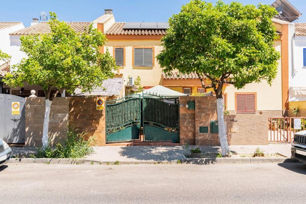 Cool Garden And Mairena del Aljarafe