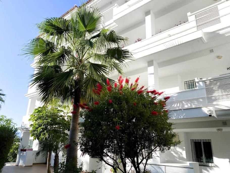 Sunrise Apartment