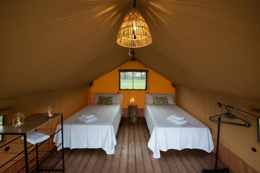 Campo de lujo Glamping Vall De Codo Terrades