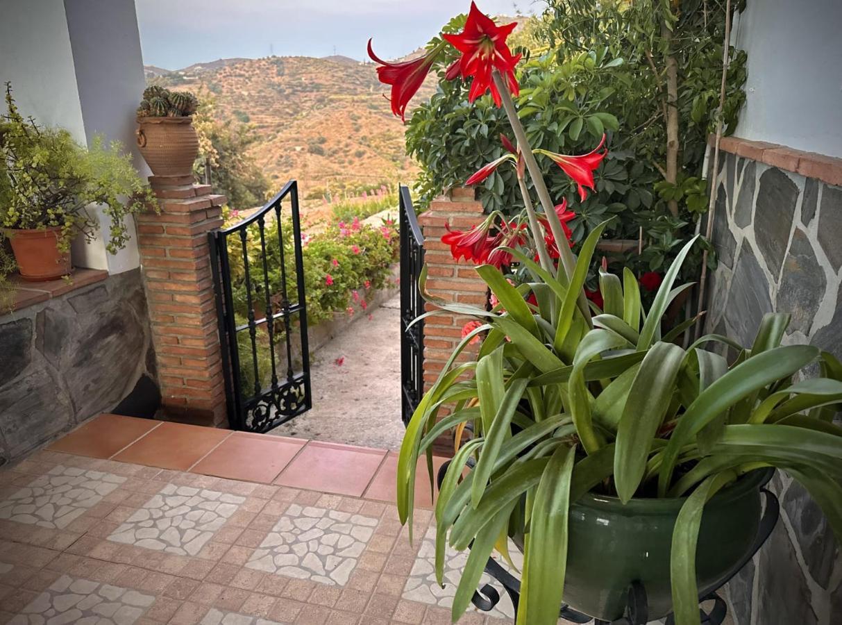 Casa Muñoz Acosta Frigiliana