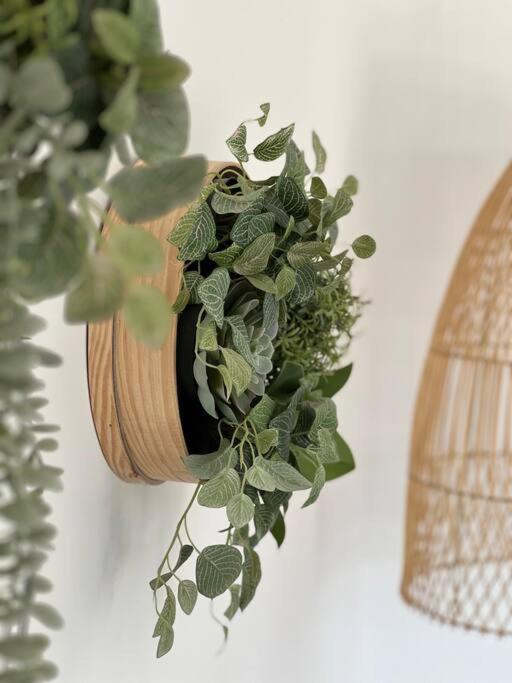 Apartment Lovely Casita Jade