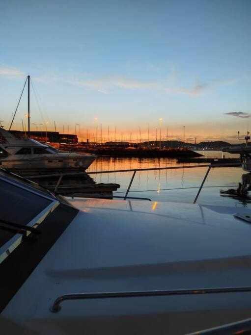 Boat Cardeli Gijón