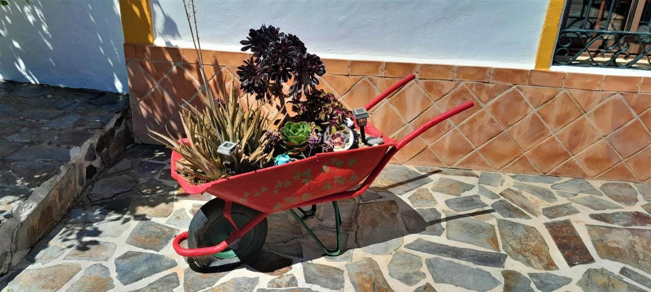 Bella Sirena Сasa de vacaciones