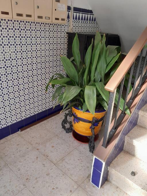Disfruta De Un Barrio Tranquilo Apartment