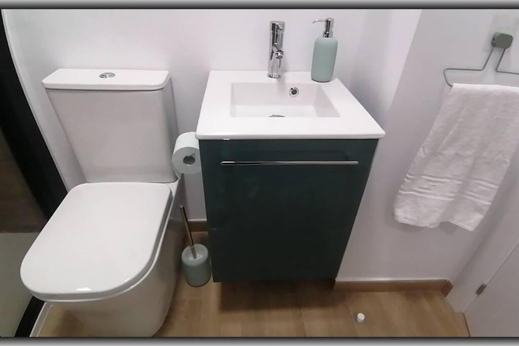 Sts Pet Friendly Playa *