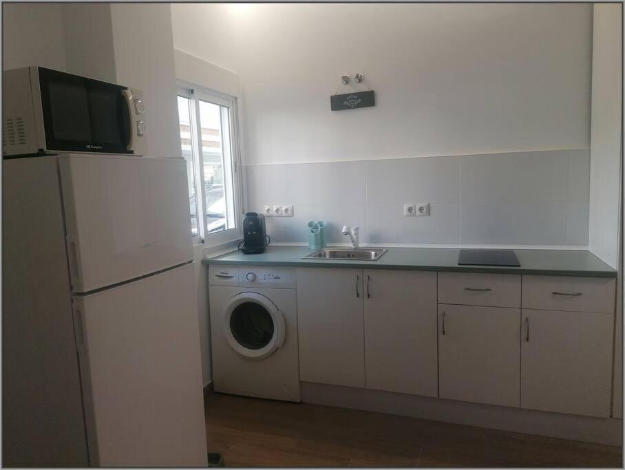Sts Pet Friendly Playa * Torre Del Mar