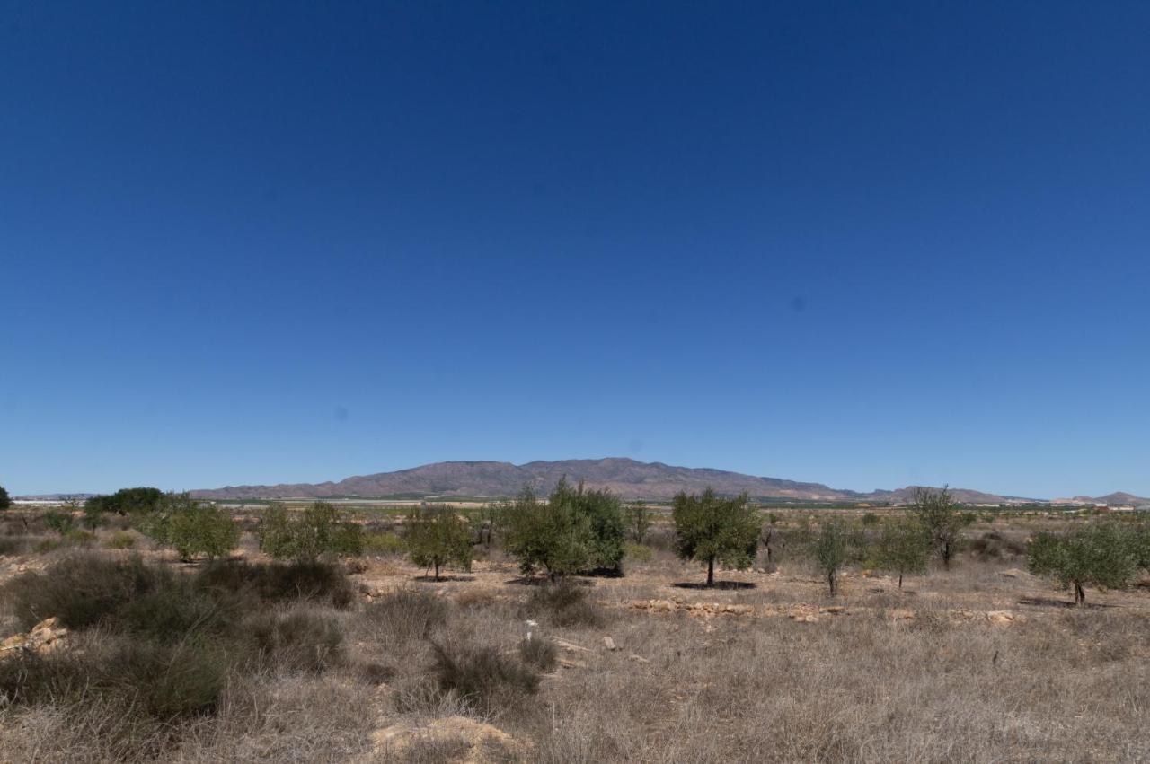 Casa Torres - Traditional Village Experience Holiday home Canovas