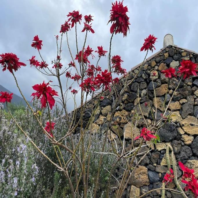 Holiday home De La Luna, La Palma Tigalate