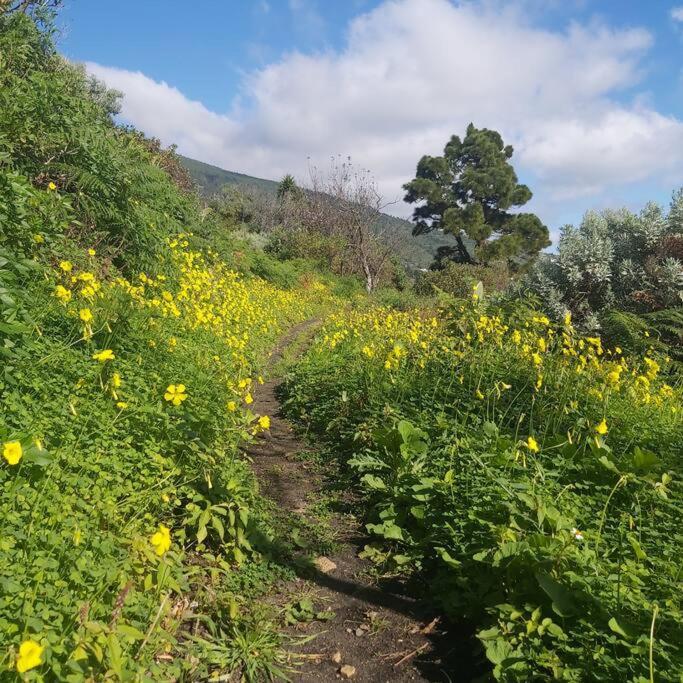 De La Luna, La Palma Holiday home *