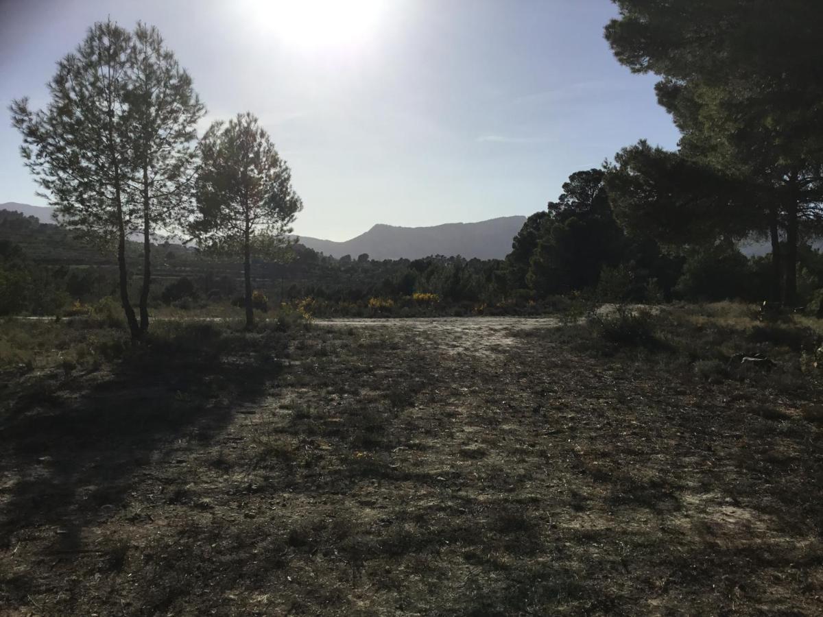 Camping Rural La Masia Luxury tent