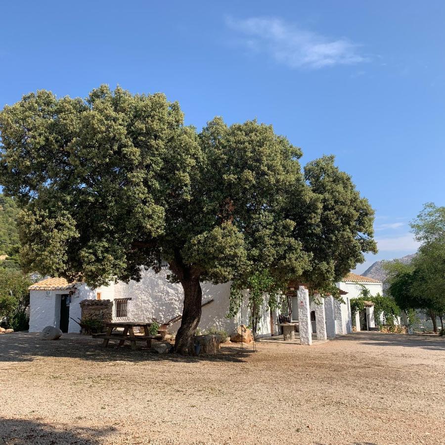 Сasa de vacaciones Cortijo Cerro Fuentes Nuevas *