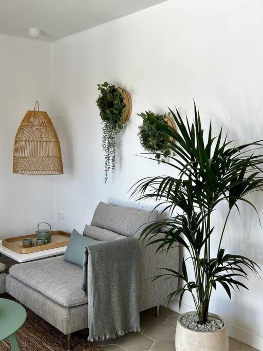 Apartment Lovely Casita Jade
