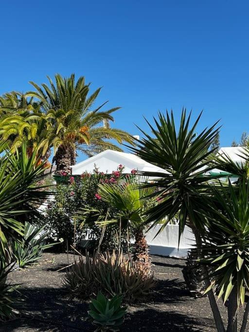 Apartment Lovely Casita Jade Playa Blanca (Lanzarote)