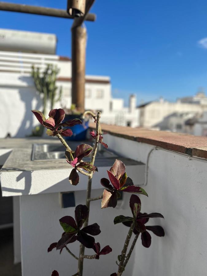The Roof
