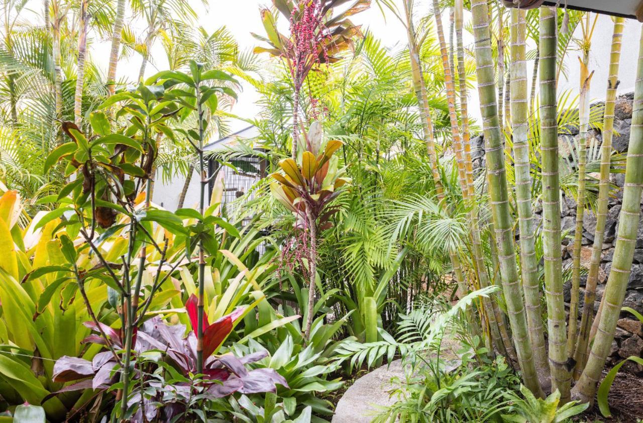 Homestay La Selvita Bajamar (La Laguna)