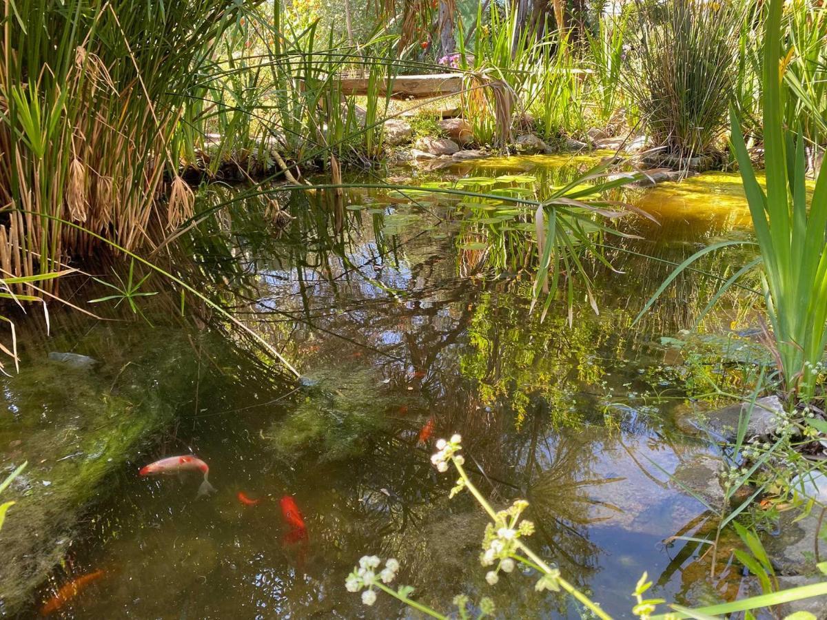 El Canto De Las Ranas Holiday home