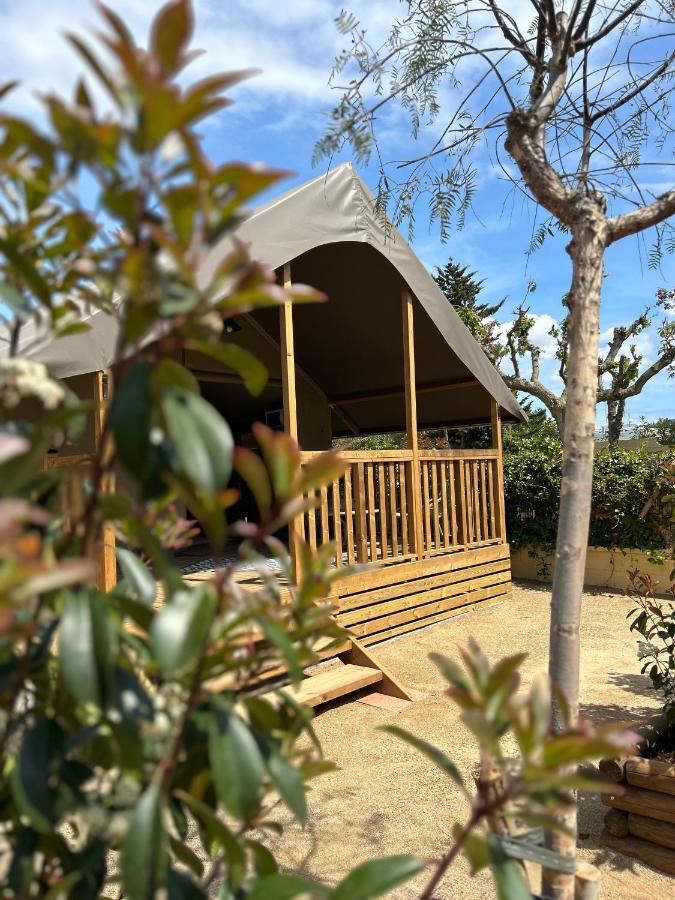 Rodas Campsite Roses